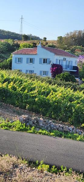 Charmant T3 en rez de jardin d'une villa